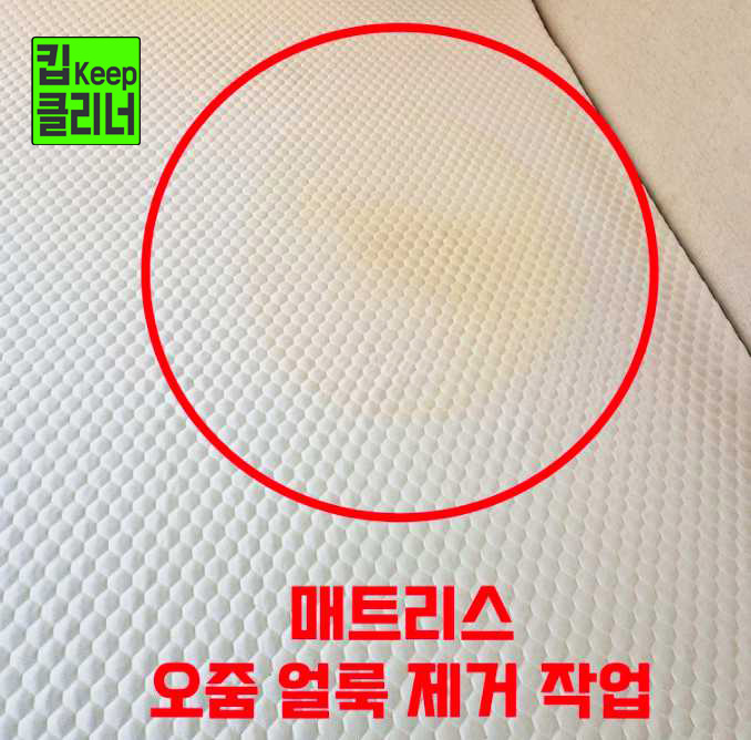 매트리스 오줌 얼룩 제거 소변 냄새 반려견 사고 청소 스팀 살균 라텍스 건조 흡수 오염 세척 살균 탈취 청결 관리 악취 제거 응급 처리 침대 침구 청소기 스팀기 세제 건조 소독 케어 서비스