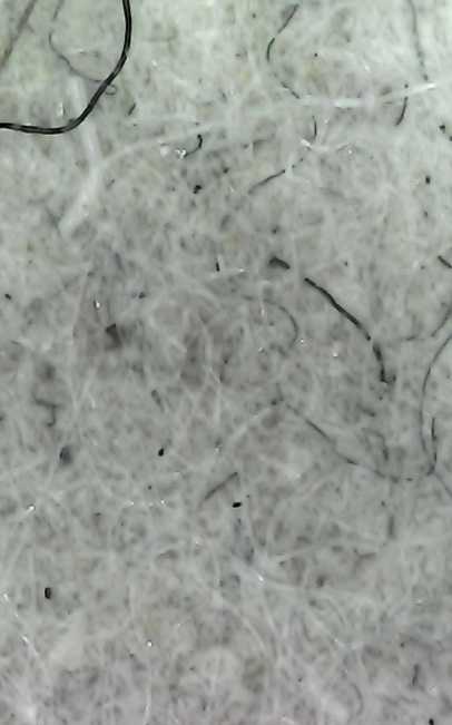 인천 서울 의정부 시흥 광명 부천 매트리스 청소 업체 습식 침대 침구 유아 거실 라텍스 매트 케어 서비스 세탁 세척 살균 클리닝 아기 오줌 소변 오염 냄새 얼룩 제거 스팀 집먼지 진드기 퇴치 권연 벌레